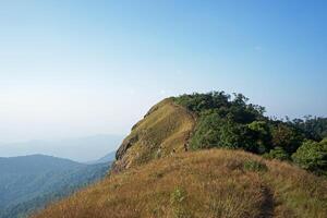 Natural landscape of mountain hill, trail track with green grass and cloudy sky photo