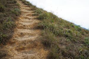 Natural landscape of green forest park, trail path and cloudy white sky photo