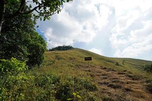 Natural landscape of green forest park, trail pathway and cloudy blue sky photo