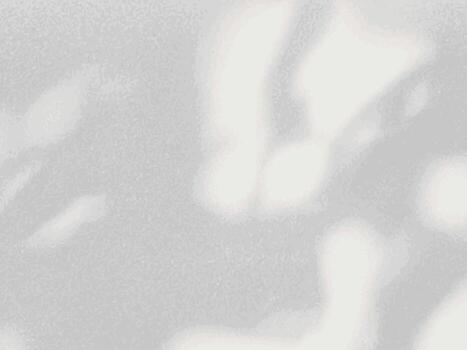 Abstract shadow of leaves on a white wall background, creating a natural overlay effect. vector