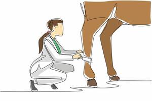 Single continuous line drawing a leg of horse is being bandaged by crouching female veterinarian. Done carefully. Fear of going berserk. National Help A Horse Day illustration. One line design vector