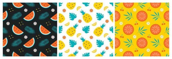 Colorful tropical fruit patterns vector