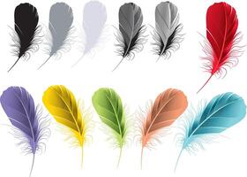 Vibrant Multicolor Feather Art on White Background vector