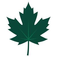 Abstract Maple Tree Leaf Icons vector