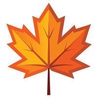 Autumn Maple Leaf Vecto Art vector