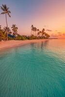 Beach at sunset with palm trees photo