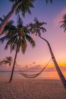 Sunset sunrise hammock hanging between palm trees on tropical beach, peaceful serene vacation getaway, tranquil nature landscape, warm colorful sky, tropical island paradise, outdoor relaxation photo