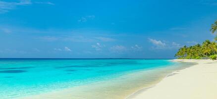 Serene tropical beach closeup with waves, sand, palm trees, and bright sunshine sky, peaceful island shore landscape evoking romance, dreamy inspiration, relaxation, and calm nature photo