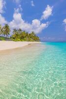 Panoramic vertical view of tropical paradise beach with clear sea and soft white sand, ideal exotic getaway for summer vacation, nature relaxation, and travel photography photo
