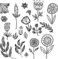 Contoured flowers in doodle style. Antistress coloring book. large botanical set. vector