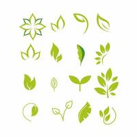 Set with green twigs. Icons on theme of natural eco products. vector