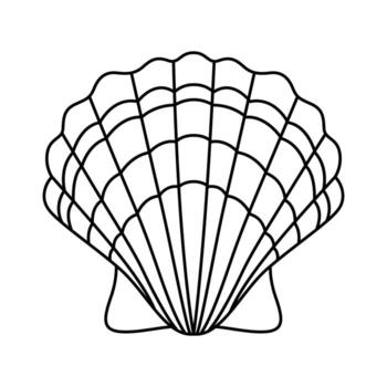 Sea shell web icon. Outline illustration of sea shell icon for web vector
