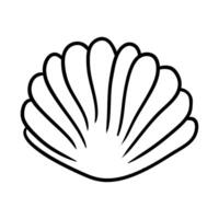 sea shell icon over white background, line style design, illustration vector
