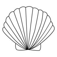 Sea shell icon. Outline illustration of sea shell icon for web vector