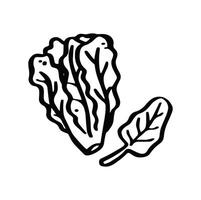 chinese cabbage symbol simple monochrome vector