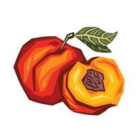 Peach composition hand drawn color vector