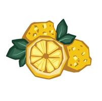 Lemon composition hand drawn color vector