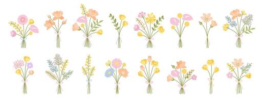 Set of summer delicate flower bouquets. Bunches of wildflowers tied with ribbons, illustration of meadow herbs, and wild plants for design projects vector