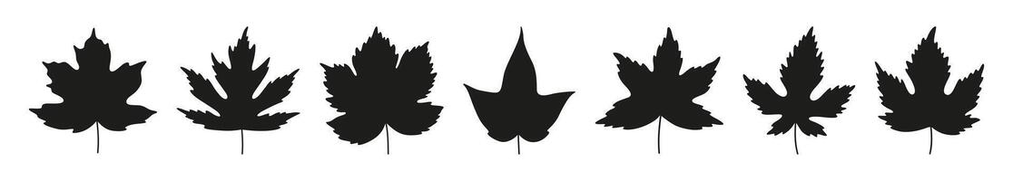Set of simple autumn black maple leaves isolated on white background. Silhouette icons of flat leaves, illustration vector