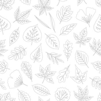 sin costura modelo con contorno hojas en blanco fondo, hoja de arce, tilo, álamo, gingko, y otros. impresión para textil, paquete, envase papel. negro contorno, ilustración vector