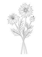 Wildflower bouquet. Nigella or love in a mist flowers, blooming wild plants with leaves, buds. Line art, contour, minimal style. Botanical handdrawn elements for design projects, illustration vector