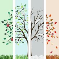 Season. Tree four times a year in spring, summer, autumn and winter. vector