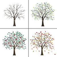 A set of pictures of the four seasons. Tree four times a year in spring, summer, autumn and winter. vector