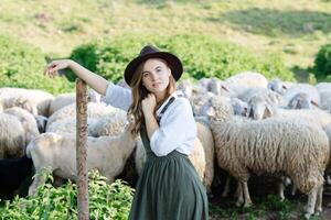 Young woman with sheep in a field photo