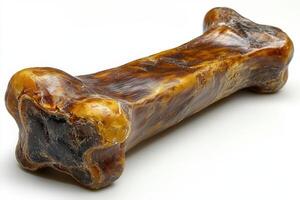 A large bone bone on a white background photo