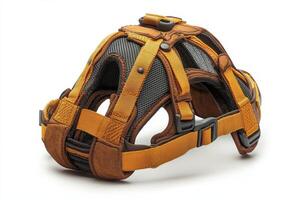 A dog's harness with a harness strap and a harness buckle photo