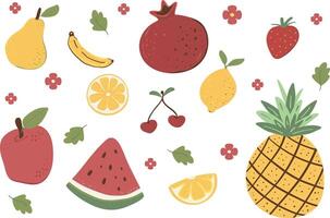 Fruit flat illustration. Colorful set illustration of assorted produce including strawberry, banana, watermelon, and apple vector
