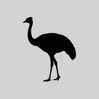 Nature Inspired Emu Illustration vector