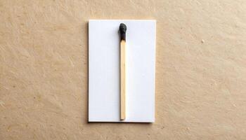 Burnt Matchstick On Kraft Notebook photo