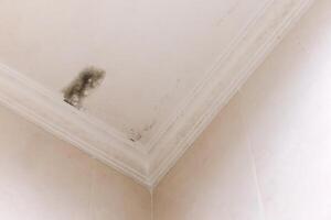 Damp and moldy ceiling in a room photo