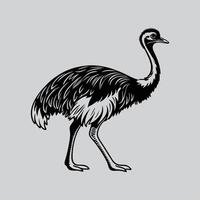 Hand Drawn Emu Silhouette Art vector