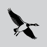 Canada Goose in Flight Art vector
