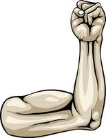 A strong arm showing its biceps muscle illustration vector