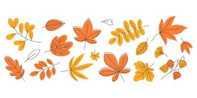 Set of Yellow and Orange Autumn Leaves in Flat Style. Ideal for Greeting Cards and Posters Design vector