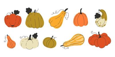 Flat style autumn pumpkin set in warm fall colours vector