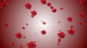 Lots of roses floating out, motion graphics video