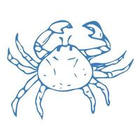 Hand drawn crab in doodle style. Mediterranean blue summer icon, element for italian menu, wedding, print, invitation. Ink sketch design of summer beach. Flat tropical minimalist illustration. vector