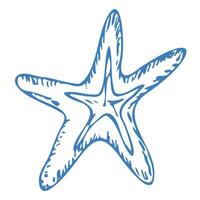Hand drawn starfish in doodle style. Mediterranean blue summer icon, element for italian menu, wedding, print, invitation. Ink sketch design of summer beach. Flat tropical minimalist illustrati vector