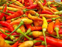 A pile of red and yellow hot peppers photo
