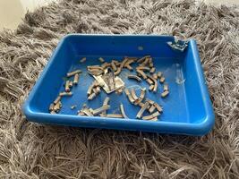 Blue tray holds broken pieces on a textured rug, creating a sense of discarded remnants. photo