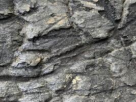 A close up of a rock wall with some rocks photo