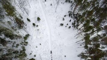 A Stunning Aerial View Showcasing a Snowy Forest Pathway During the Winter Season. Stock Clip video