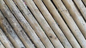 A close up of a wooden fence with some plants photo
