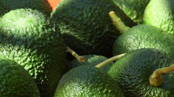 Taking a natural hass avocados recently harvested in a box video