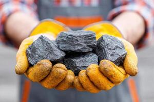 Individual wearing yellow gloves holds several pieces of black coal in hands, showcasing the raw material's texture and weight, emphasizing the importance of coal in energy production photo