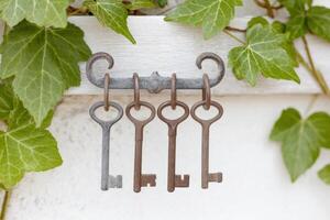 Vintage keys hanging on a decorative hook against a backdrop of lush green ivy leaves, creating a charming and rustic atmosphere for home decor enthusiasts photo